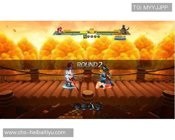 23与24的巅峰对决最后一战谁将书写历史新篇章